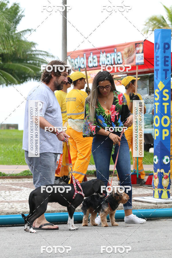 Buy your photos of the event13� C�ominhada - Santos on Fotop