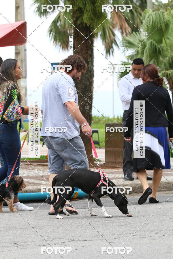 Buy your photos of the event13� C�ominhada - Santos on Fotop