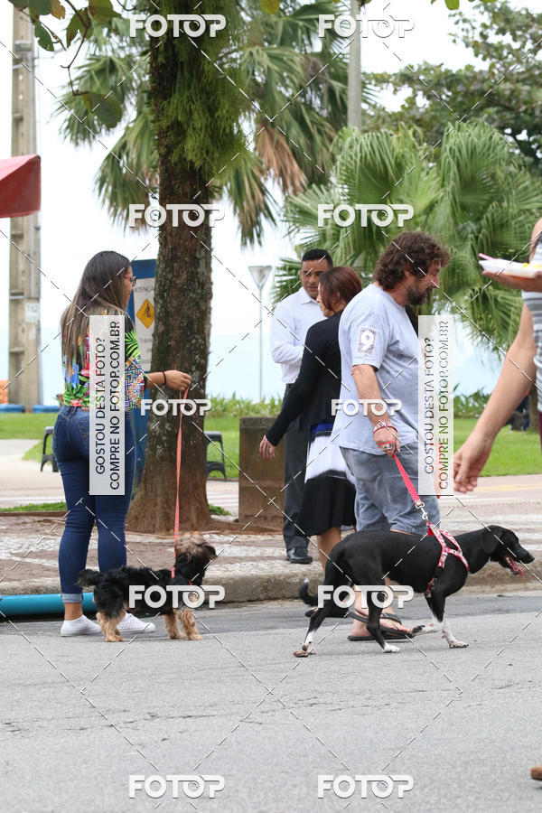 Buy your photos of the event13� C�ominhada - Santos on Fotop