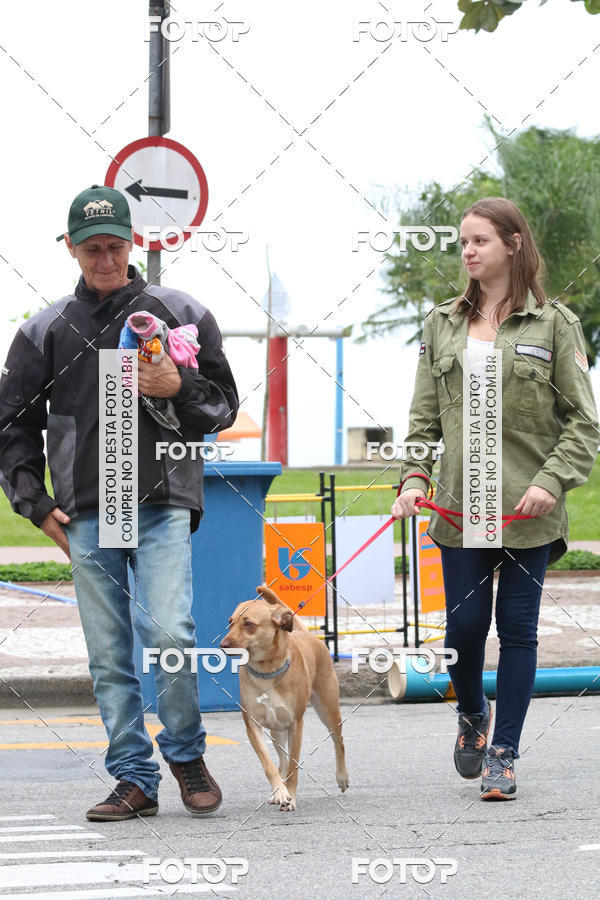 Buy your photos of the event13� C�ominhada - Santos on Fotop