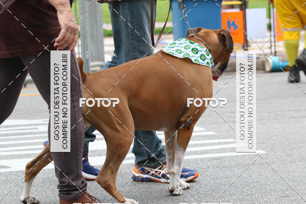 Buy your photos of the event13� C�ominhada - Santos on Fotop