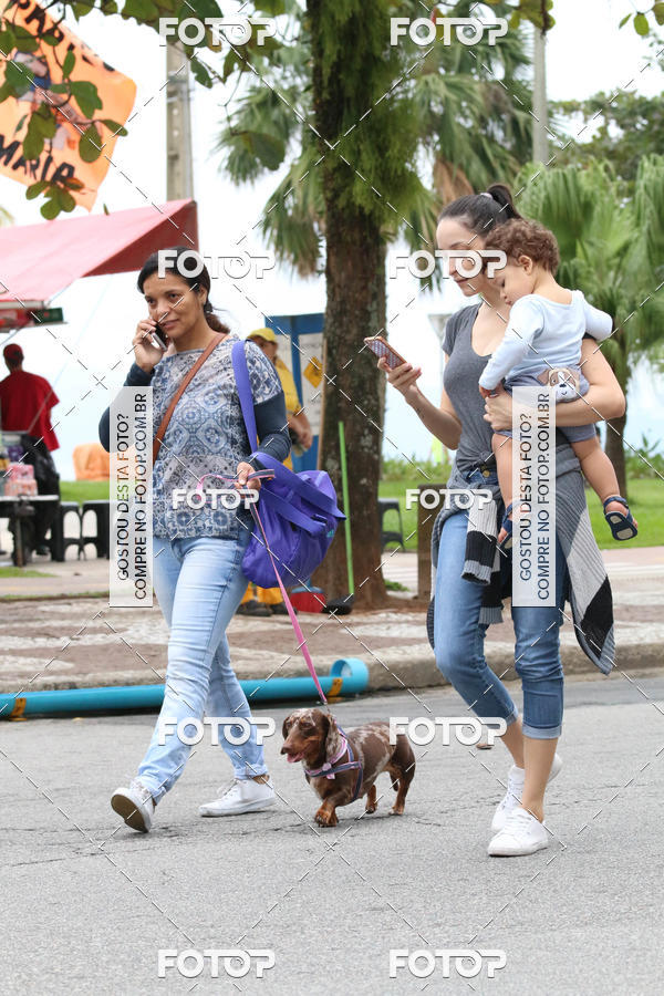 Buy your photos of the event13� C�ominhada - Santos on Fotop