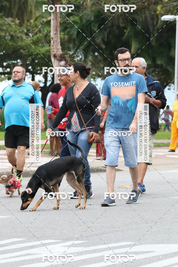 Buy your photos of the event13� C�ominhada - Santos on Fotop