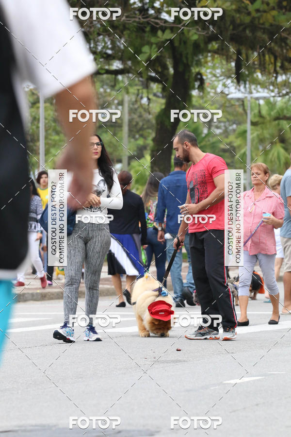 Buy your photos of the event13� C�ominhada - Santos on Fotop