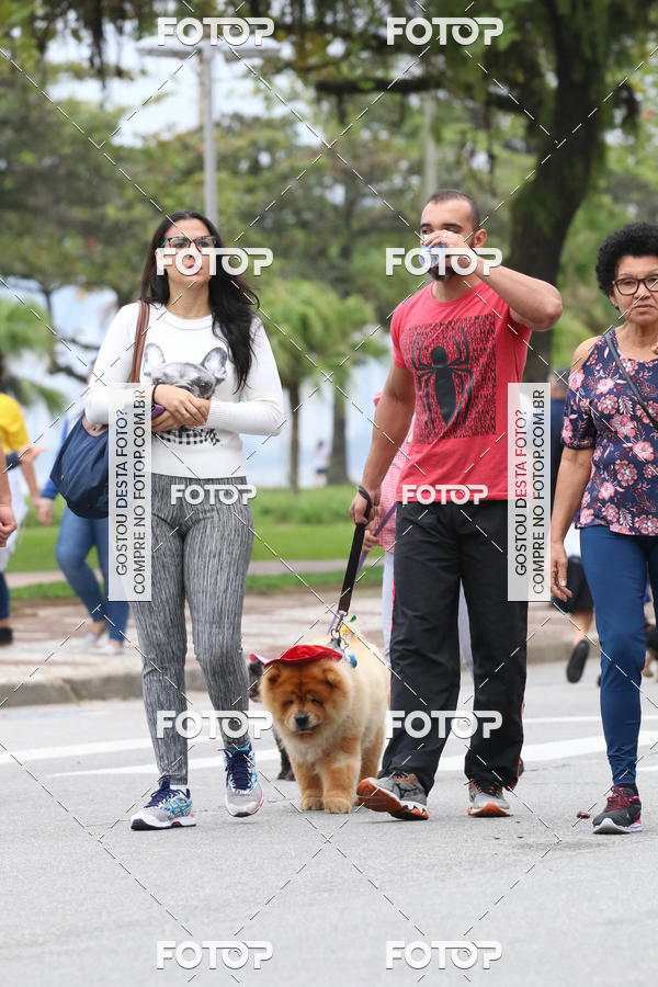 Buy your photos of the event13� C�ominhada - Santos on Fotop