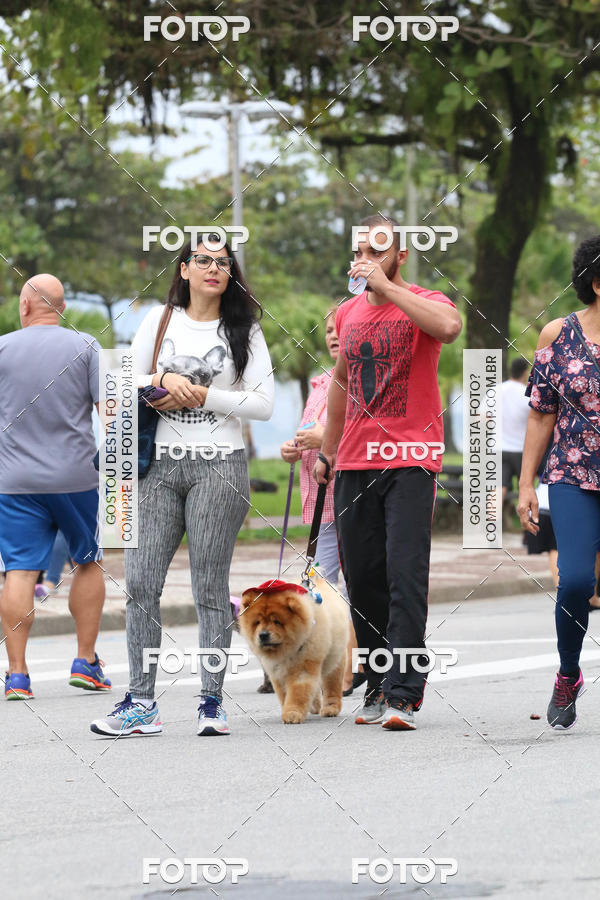 Buy your photos of the event13� C�ominhada - Santos on Fotop