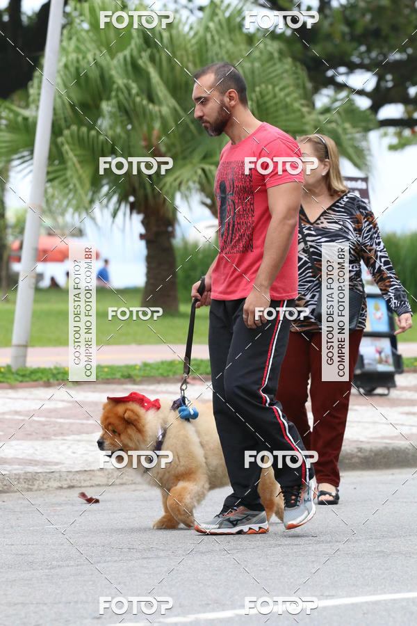 Buy your photos of the event13� C�ominhada - Santos on Fotop