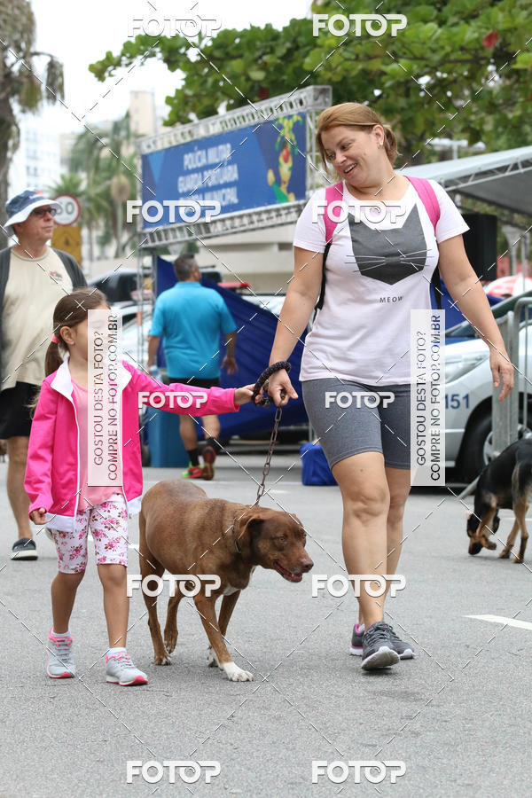 Buy your photos of the event13� C�ominhada - Santos on Fotop