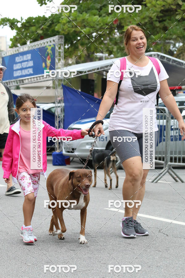 Buy your photos of the event13� C�ominhada - Santos on Fotop