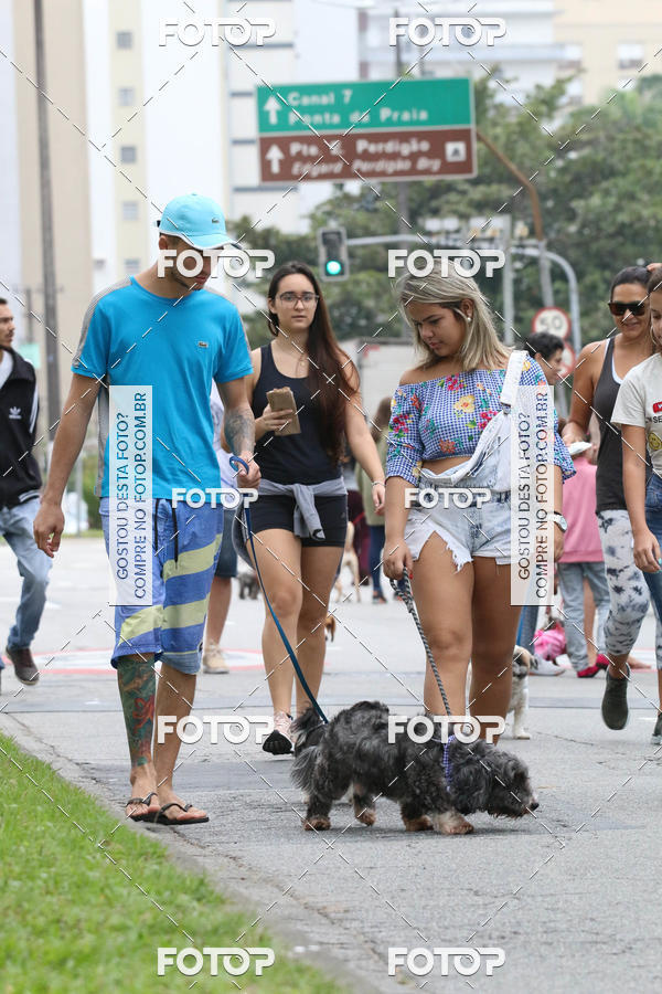 Buy your photos of the event13� C�ominhada - Santos on Fotop