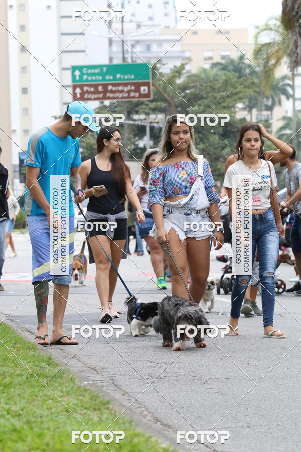 Buy your photos of the event13� C�ominhada - Santos on Fotop