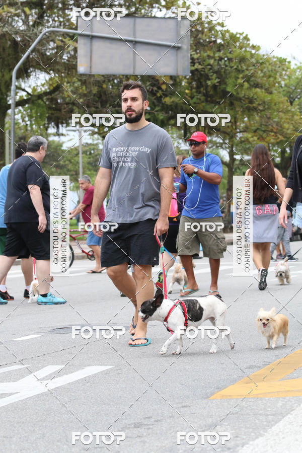 Buy your photos of the event13� C�ominhada - Santos on Fotop