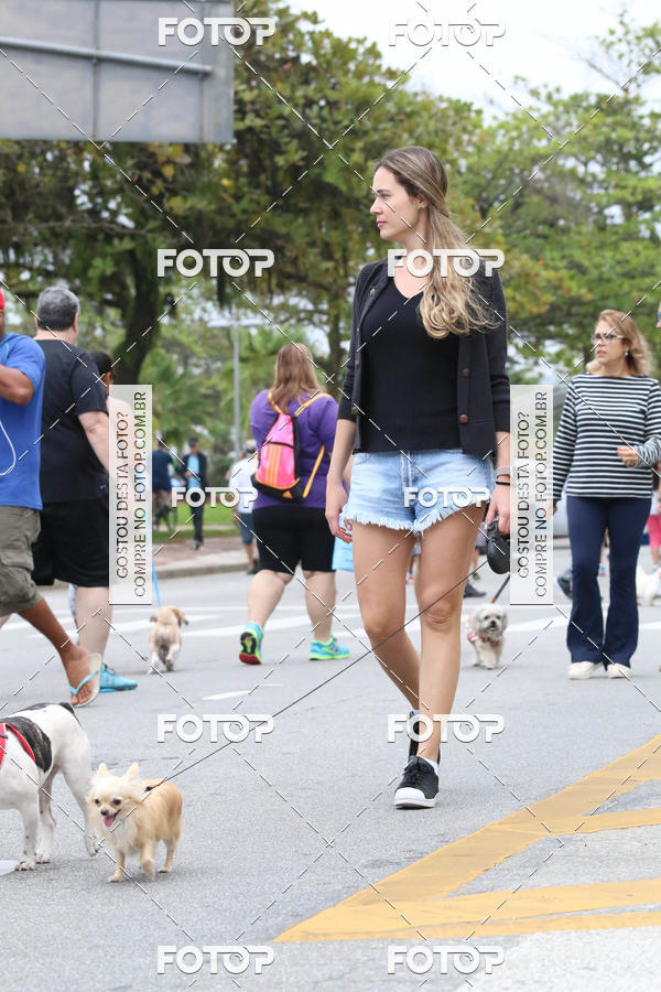 Buy your photos of the event13� C�ominhada - Santos on Fotop