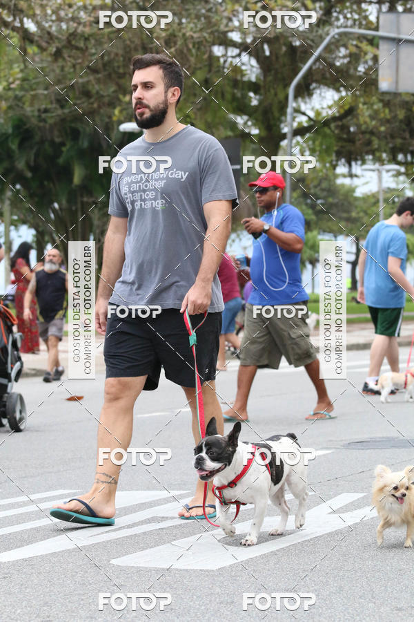 Buy your photos of the event13� C�ominhada - Santos on Fotop