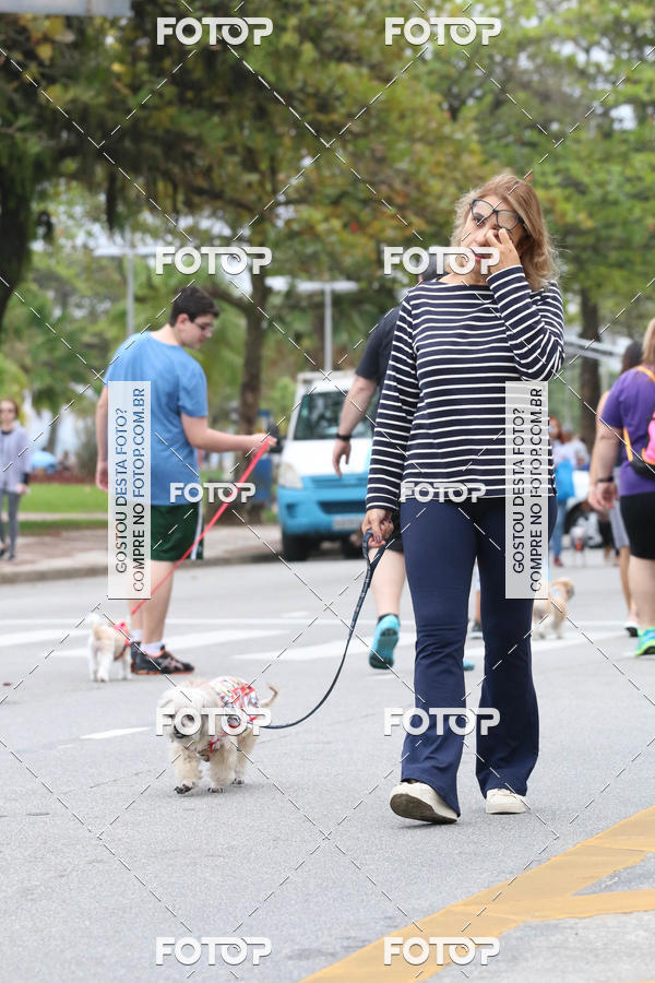 Buy your photos of the event13� C�ominhada - Santos on Fotop