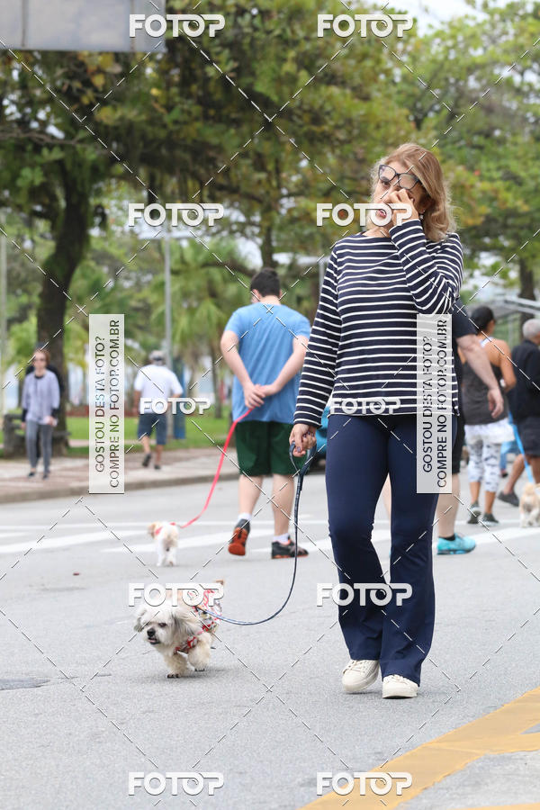 Buy your photos of the event13� C�ominhada - Santos on Fotop