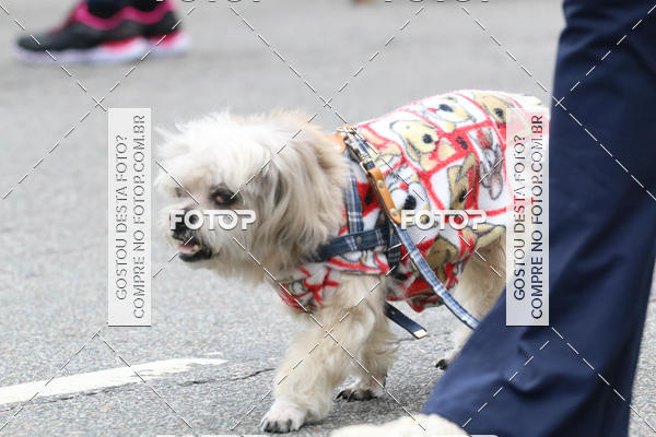 Buy your photos of the event13� C�ominhada - Santos on Fotop