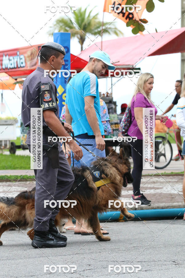 Buy your photos of the event13� C�ominhada - Santos on Fotop