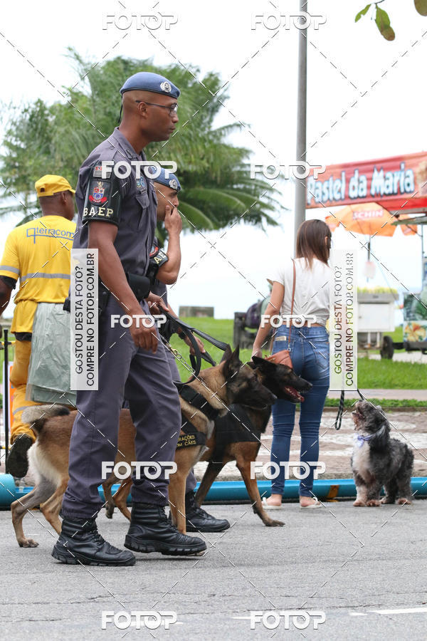 Buy your photos of the event13� C�ominhada - Santos on Fotop