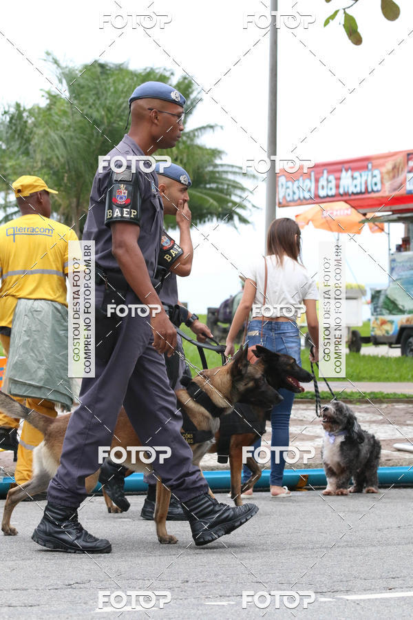 Buy your photos of the event13� C�ominhada - Santos on Fotop