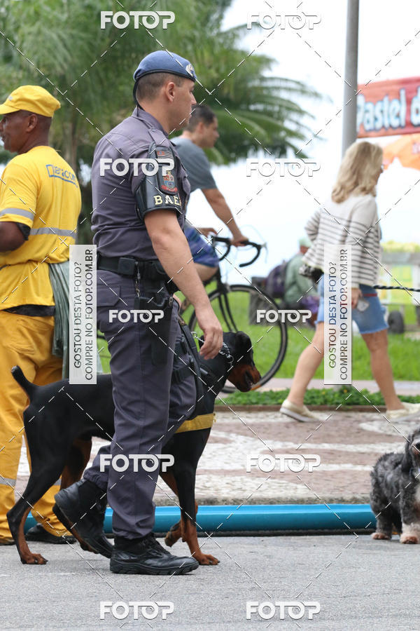 Buy your photos of the event13� C�ominhada - Santos on Fotop