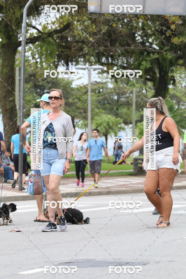 Buy your photos of the event13� C�ominhada - Santos on Fotop