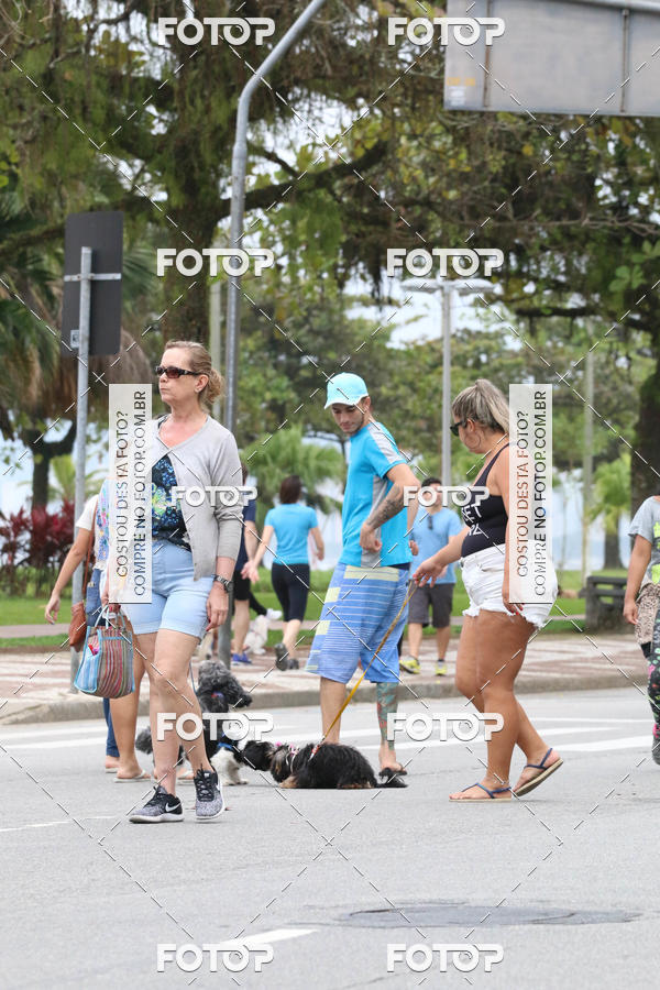 Buy your photos of the event13� C�ominhada - Santos on Fotop