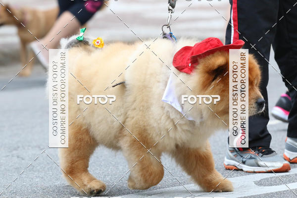 Buy your photos of the event13� C�ominhada - Santos on Fotop