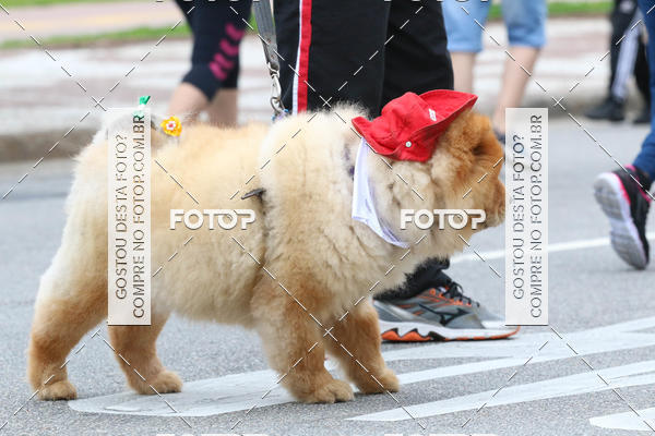 Buy your photos of the event13� C�ominhada - Santos on Fotop