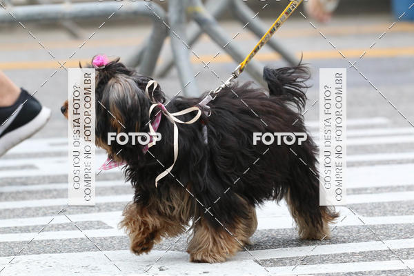 Buy your photos of the event13� C�ominhada - Santos on Fotop