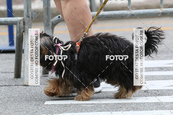 Buy your photos of the event13� C�ominhada - Santos on Fotop