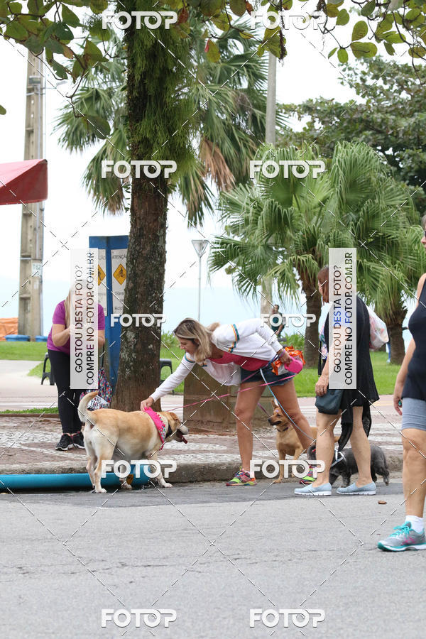 Buy your photos of the event13� C�ominhada - Santos on Fotop