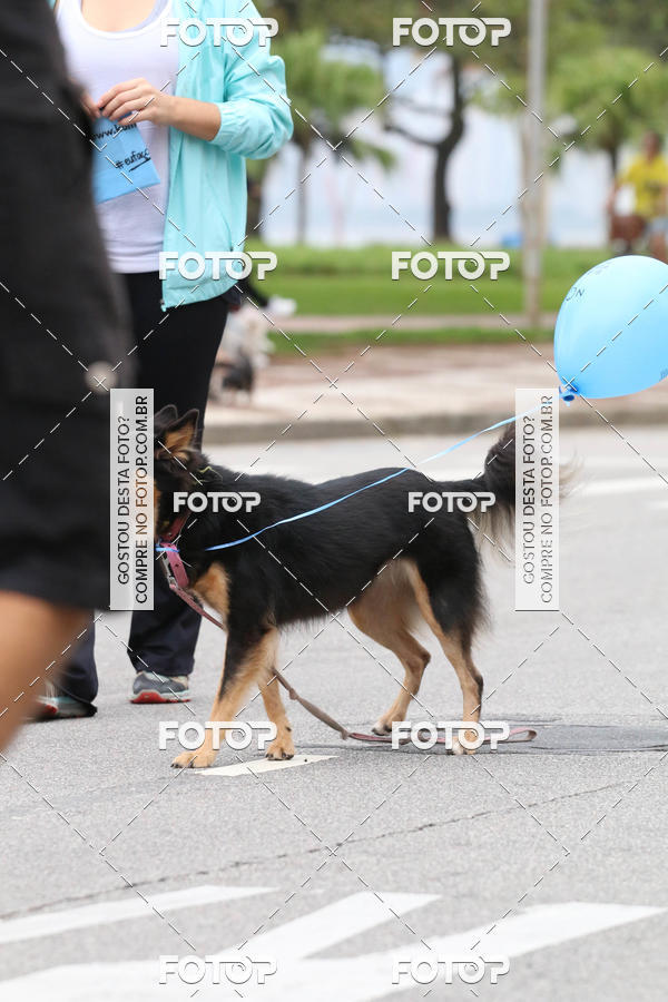 Buy your photos of the event13� C�ominhada - Santos on Fotop