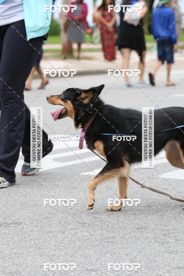 Buy your photos of the event13� C�ominhada - Santos on Fotop