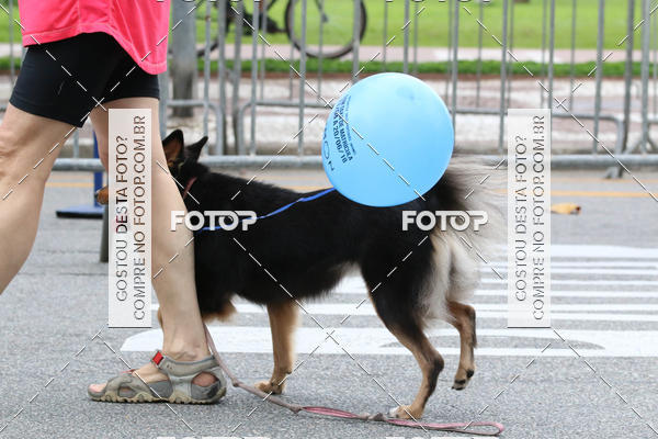 Buy your photos of the event13� C�ominhada - Santos on Fotop