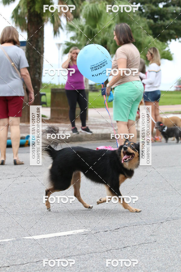 Buy your photos of the event13� C�ominhada - Santos on Fotop