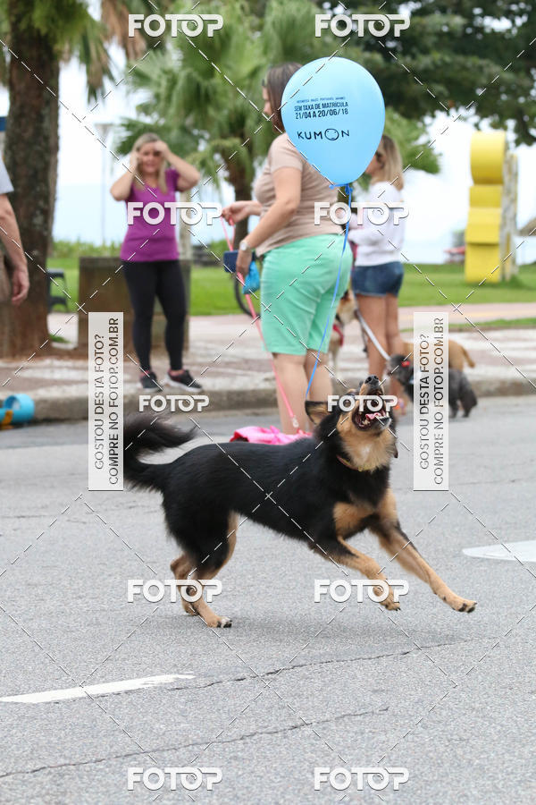 Buy your photos of the event13� C�ominhada - Santos on Fotop