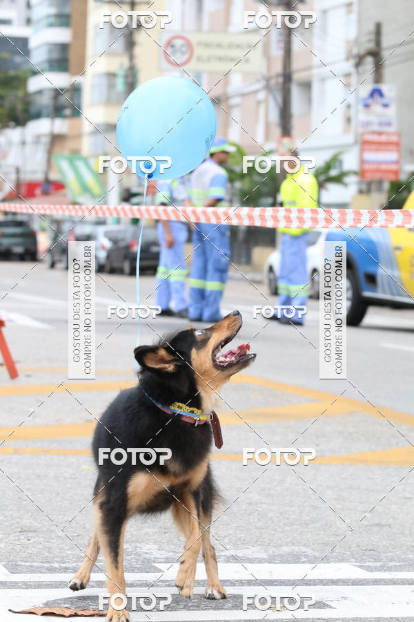 Buy your photos of the event13� C�ominhada - Santos on Fotop