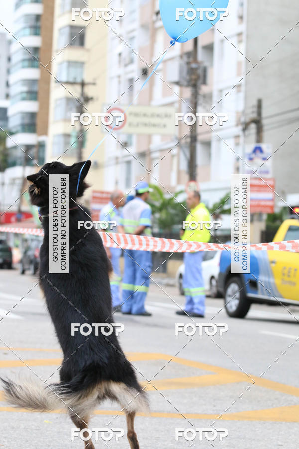 Buy your photos of the event13� C�ominhada - Santos on Fotop