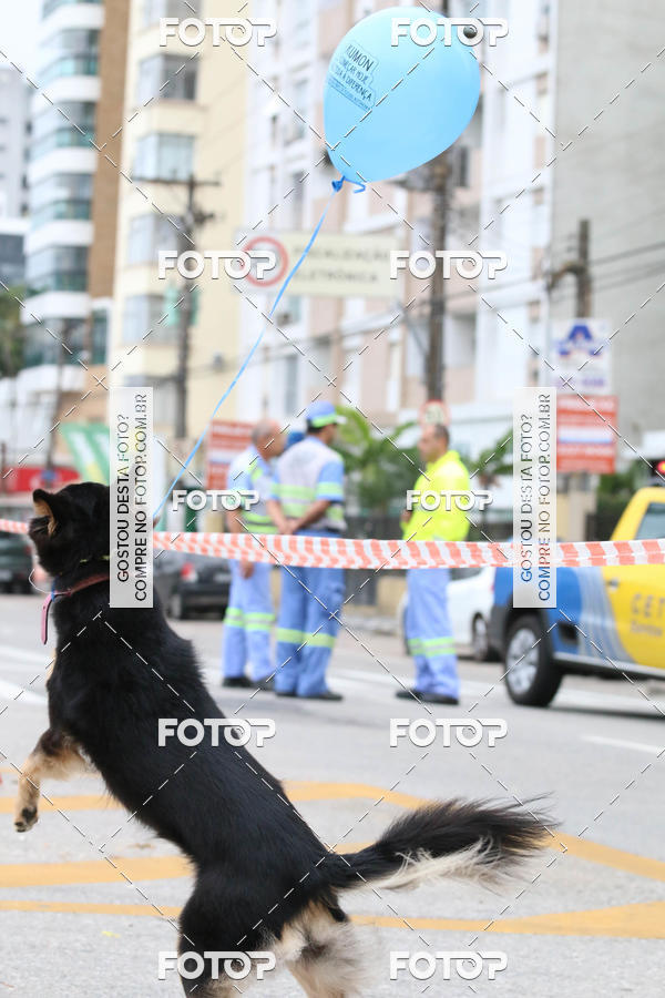 Buy your photos of the event13� C�ominhada - Santos on Fotop