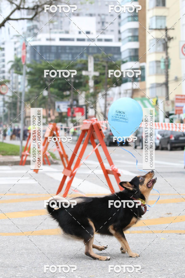 Buy your photos of the event13� C�ominhada - Santos on Fotop