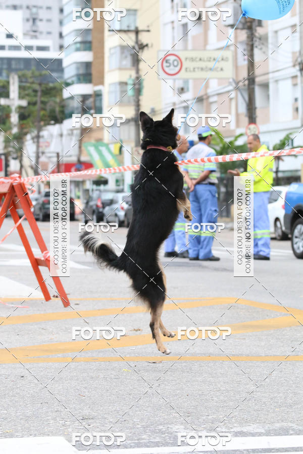 Buy your photos of the event13� C�ominhada - Santos on Fotop