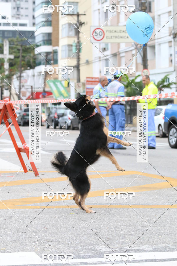 Buy your photos of the event13� C�ominhada - Santos on Fotop