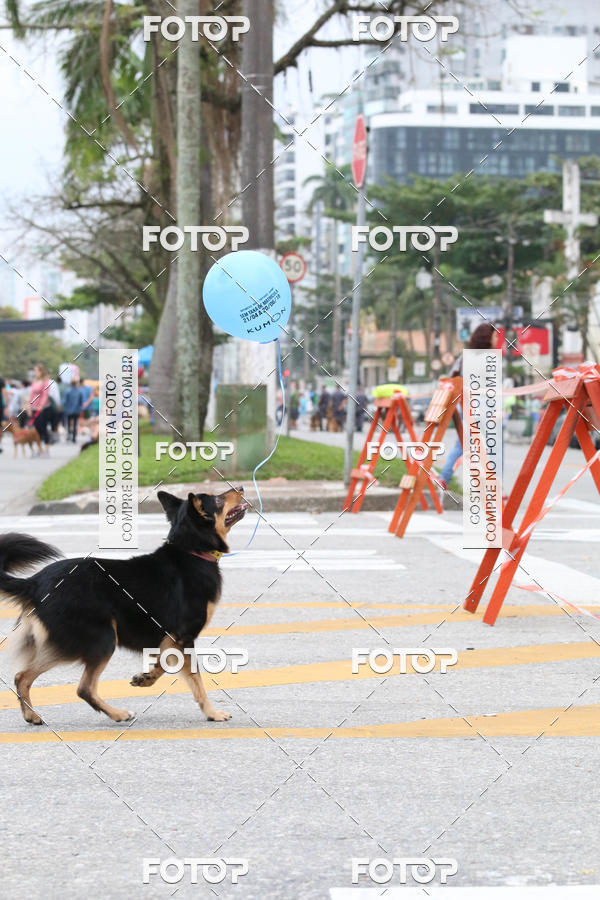 Buy your photos of the event13� C�ominhada - Santos on Fotop