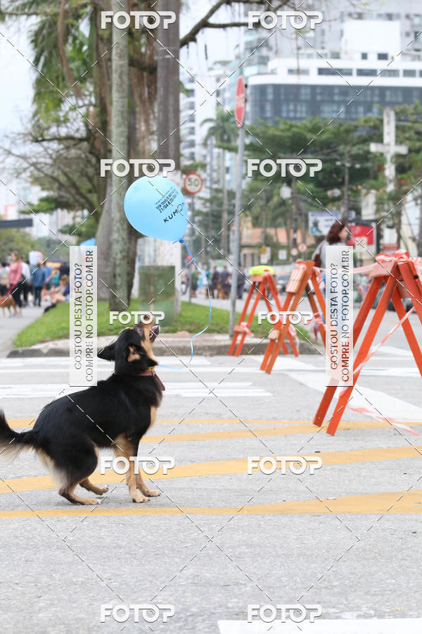 Buy your photos of the event13� C�ominhada - Santos on Fotop