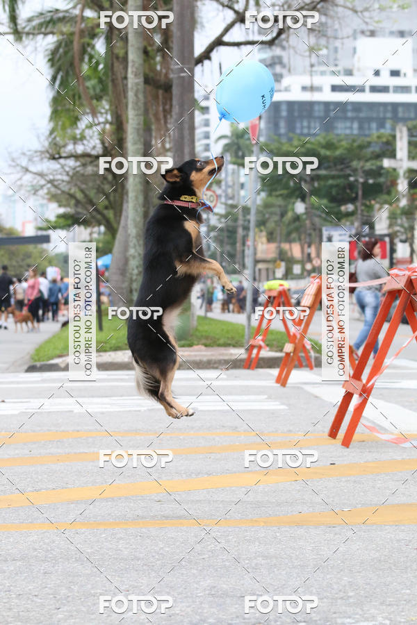 Buy your photos of the event13� C�ominhada - Santos on Fotop