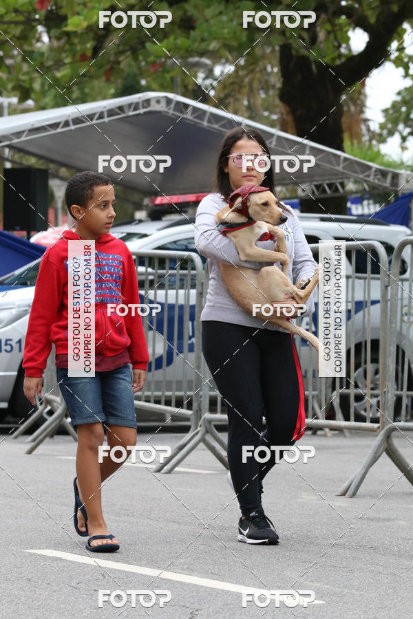 Buy your photos of the event13� C�ominhada - Santos on Fotop