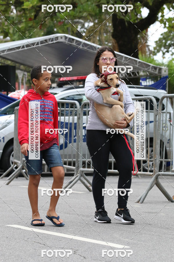 Buy your photos of the event13� C�ominhada - Santos on Fotop