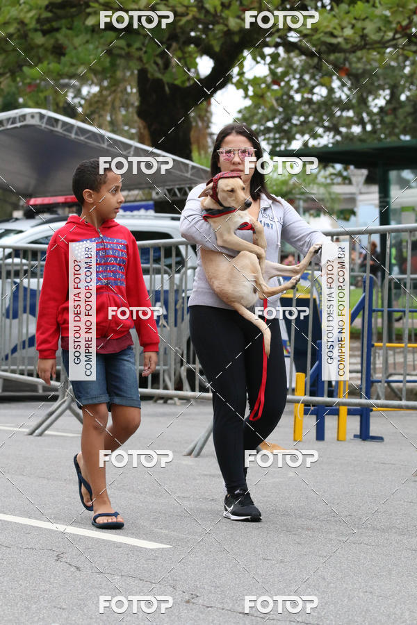 Buy your photos of the event13� C�ominhada - Santos on Fotop