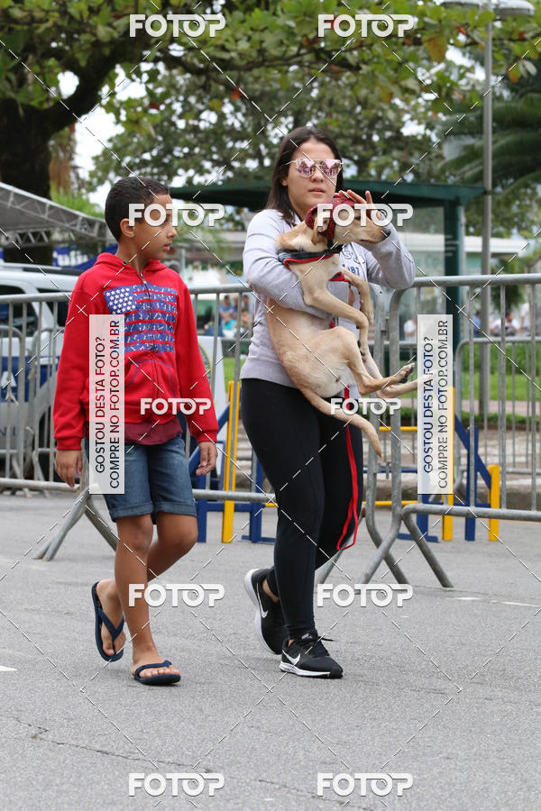 Buy your photos of the event13� C�ominhada - Santos on Fotop